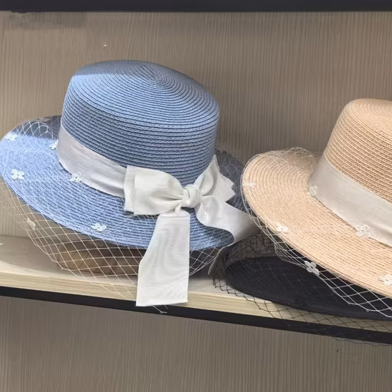 New Fashion Paper Straw with Woman Wide Brim Sun Hat